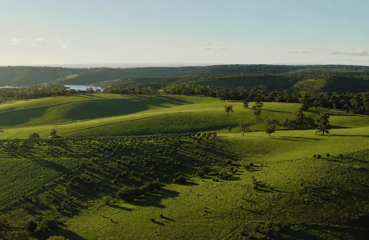 Aerial view over the green land at Amberleigh, Golden Grove