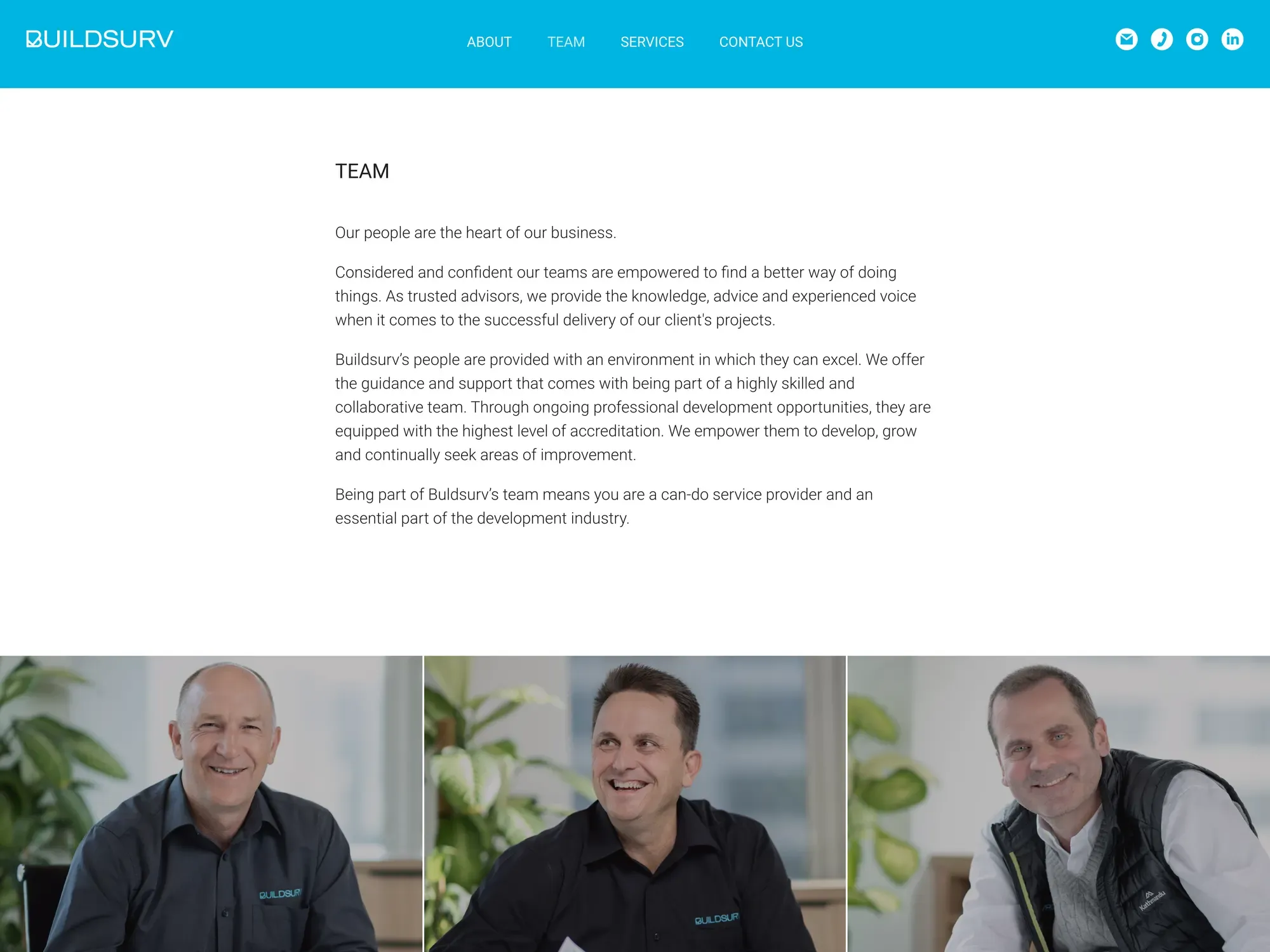Another page from the BuildSurv site